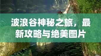 波浪谷神秘之旅,最新攻略与绝美图片大放送