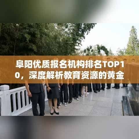 阜阳优质报名机构排名TOP10,深度解析教育资源的黄金分布地!