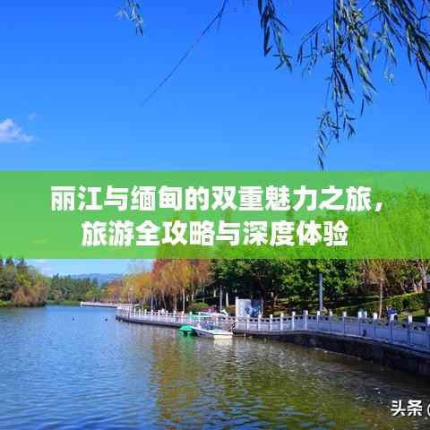 张灯结彩 第2页