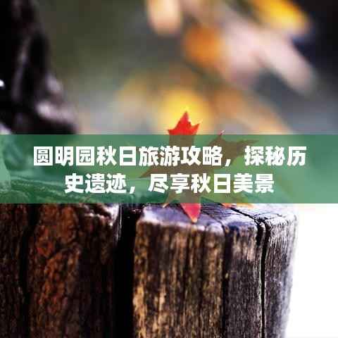 圆明园秋日旅游攻略,探秘历史遗迹,尽享秋日美景