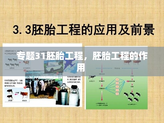 专题31胚胎工程,胚胎工程的作用