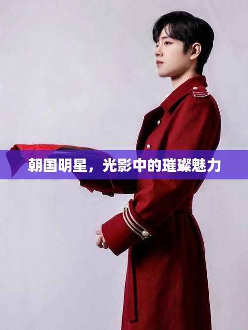 朝国明星,光影中的璀璨魅力