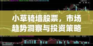 小草骑墙股票,市场趋势洞察与投资策略揭秘