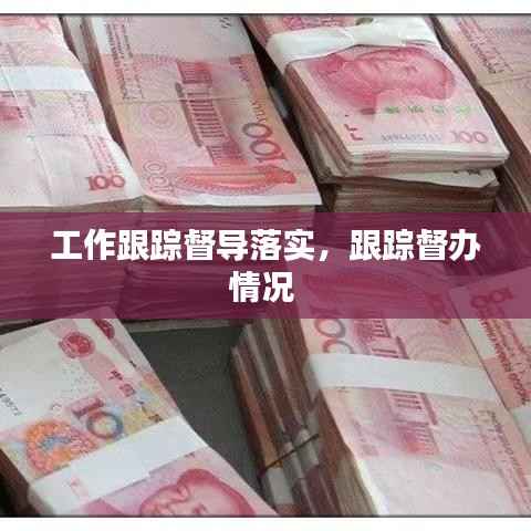 工作跟踪督导落实,跟踪督办情况