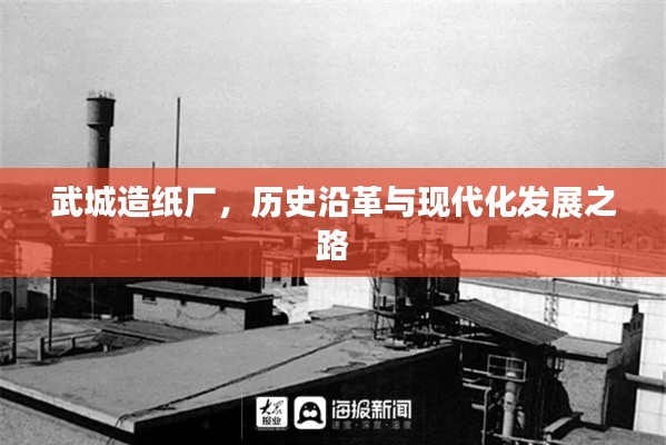 武城造纸厂,历史沿革与现代化发展之路