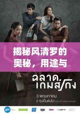 揭秘风清罗的奥秘,用途与背后含义深度解析