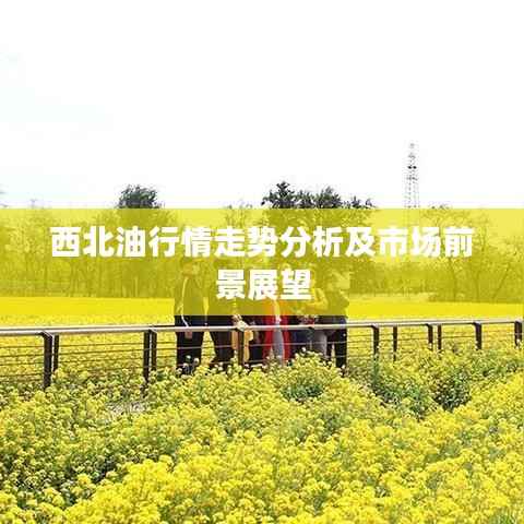 西北油行情走势分析及市场前景展望