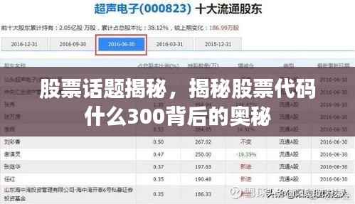股票话题揭秘,揭秘股票代码什么300背后的奥秘