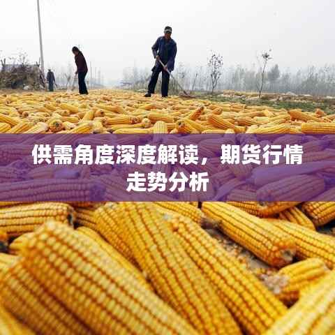 供需角度深度解读,期货行情走势分析