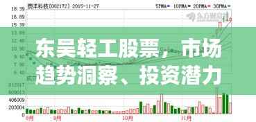 东吴轻工股票,市场趋势洞察、投资潜力及风险评估揭秘