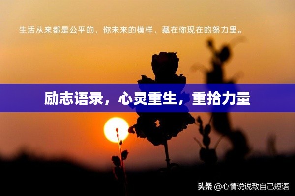 张三李四 第2页