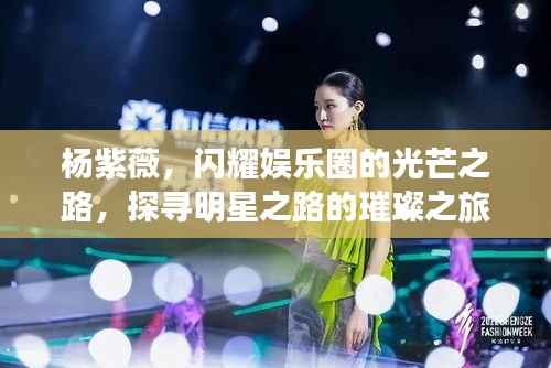 杨紫薇,闪耀娱乐圈的光芒之路,探寻明星之路的璀璨之旅