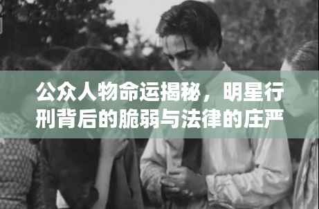 公众人物命运揭秘,明星行刑背后的脆弱与法律的庄严界限