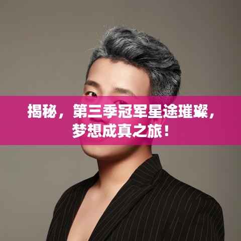 揭秘,第三季冠军星途璀璨,梦想成真之旅!