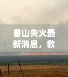 鲁山失火最新消息,救援进展与事故原因调查同步推进,视频曝光引关注