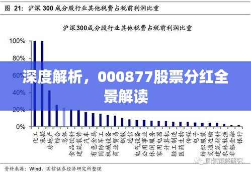 深度解析,000877股票分红全景解读