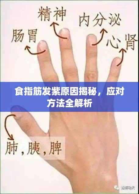 食指筋发紫原因揭秘,应对方法全解析