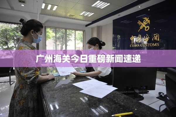 广州海关今日重磅新闻速递