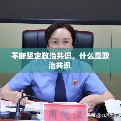 不断坚定政治共识,什么是政治共识