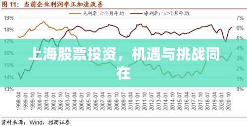 上海股票投资,机遇与挑战同在