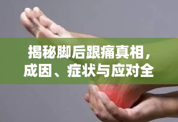 揭秘脚后跟痛真相,成因、症状与应对全攻略!