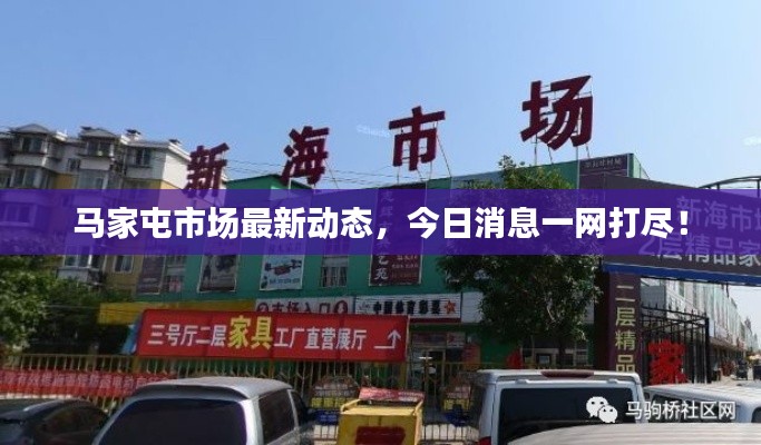 马家屯市场最新动态,今日消息一网打尽!