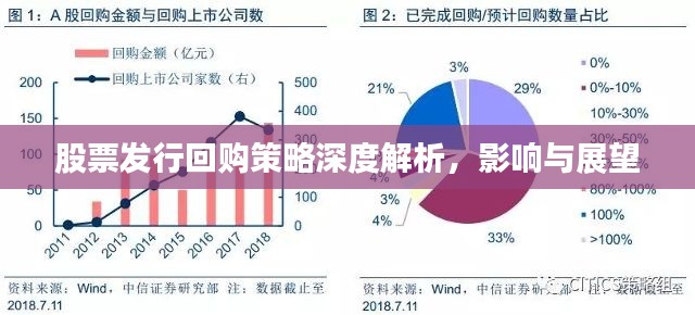 股票发行回购策略深度解析,影响与展望