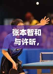 张本智和与许昕,巅峰对决,谁将胜出?