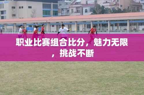 职业比赛组合比分,魅力无限,挑战不断