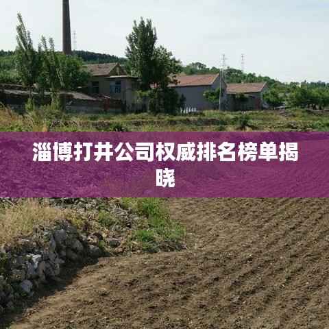 淄博打井公司权威排名榜单揭晓