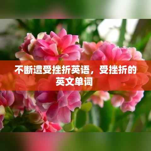 不断遭受挫折英语,受挫折的英文单词