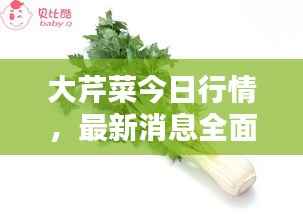 举世无双 第2页