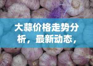 淡泊以明志，宁静以致远 第2页