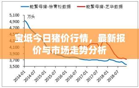 宝坻今日猪价行情,最新报价与市场走势分析
