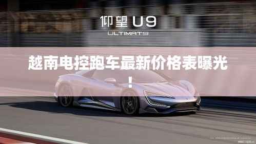 越南电控跑车最新价格表曝光!