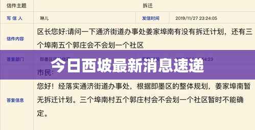 今日西坡最新消息速递
