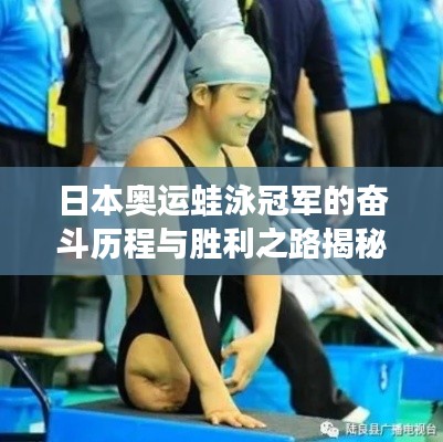日本奥运蛙泳冠军的奋斗历程与胜利之路揭秘