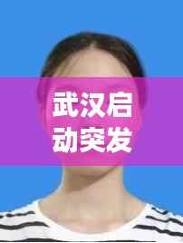 武汉启动突发事件,今天中午武汉突发事件