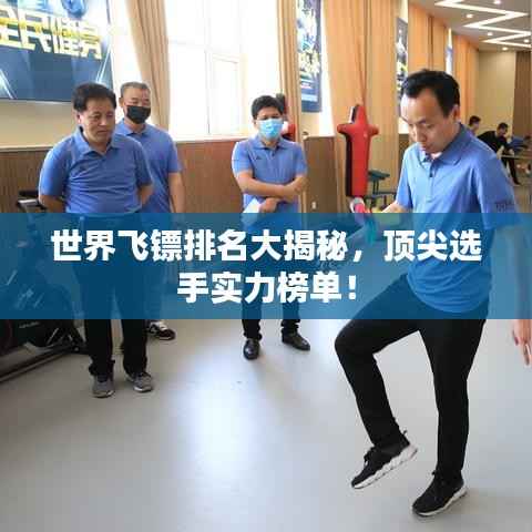 世界飞镖排名大揭秘,顶尖选手实力榜单!