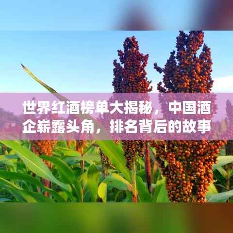 世界红酒榜单大揭秘,中国酒企崭露头角,排名背后的故事!