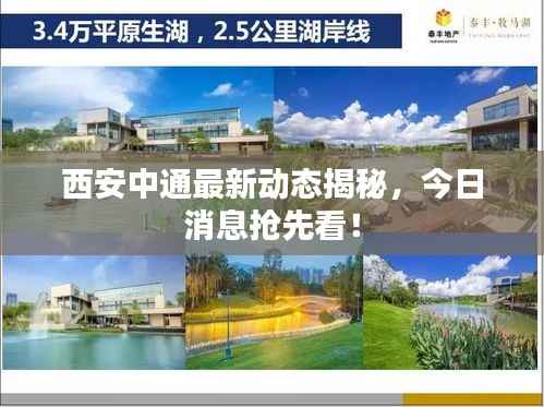 西安中通最新动态揭秘,今日消息抢先看!