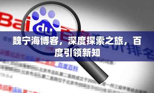 魏宁海博客,深度探索之旅,百度引领新知