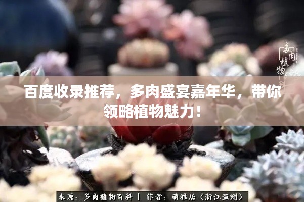 百度收录推荐,多肉盛宴嘉年华,带你领略植物魅力!
