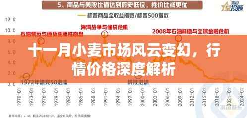 十一月小麦市场风云变幻,行情价格深度解析