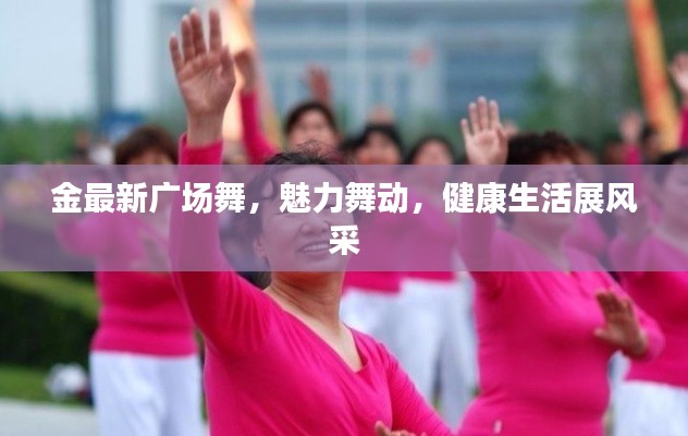 金最新广场舞,魅力舞动,健康生活展风采