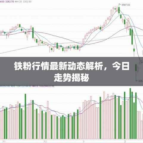 铁粉行情最新动态解析,今日走势揭秘